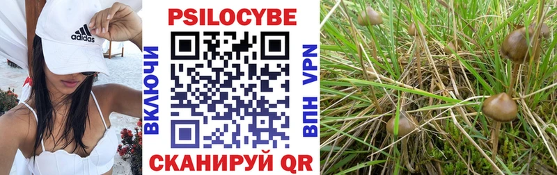 Галлюциногенные грибы ЛСД  Купить закладки  Людиново 