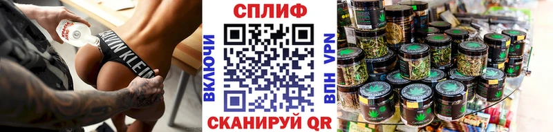 Бошки марихуана MAZAR  Купить закладки  Людиново 
